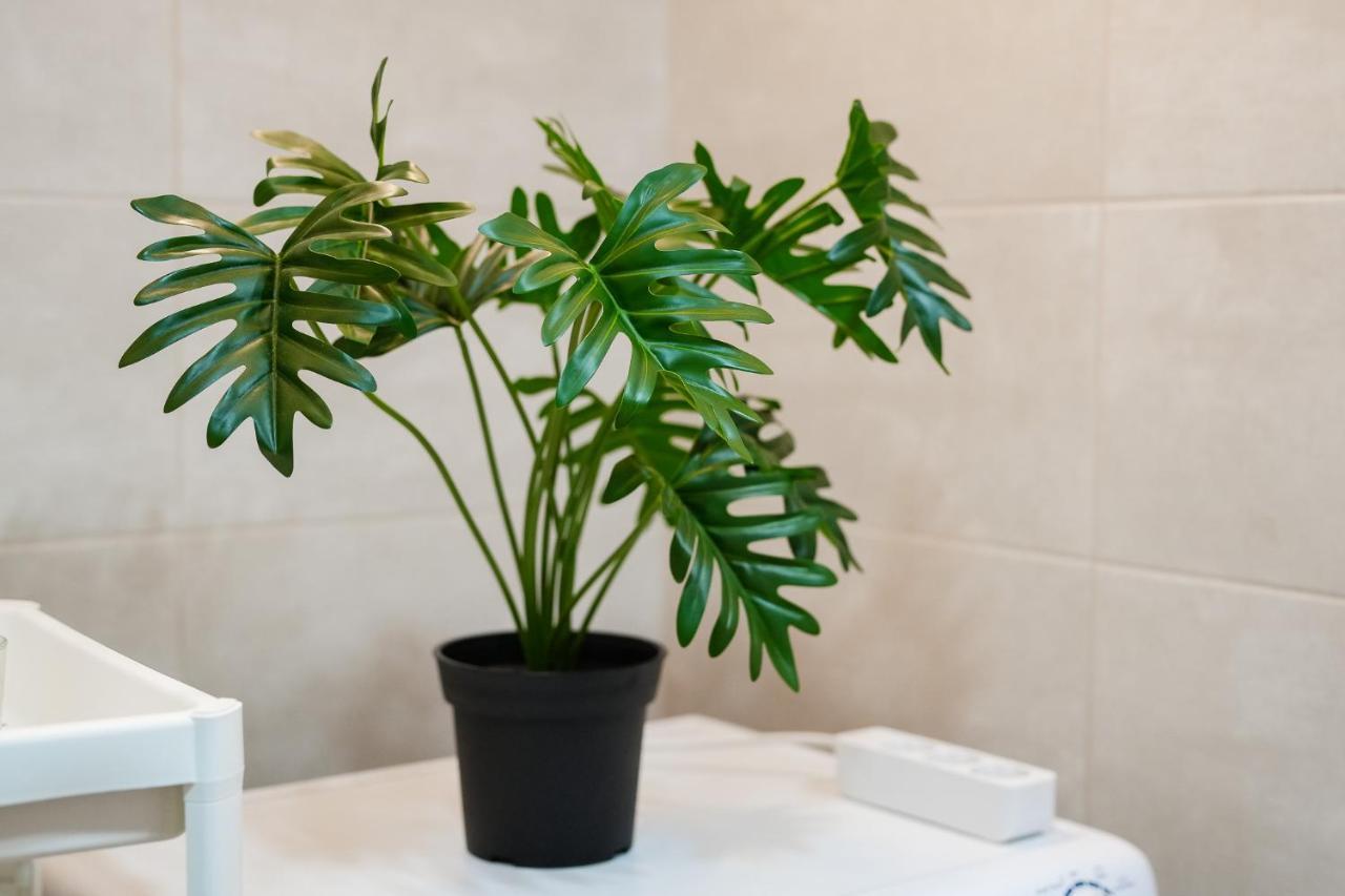 Praia Da Rocha Apartment By Lovelystay Portimão Extérieur photo